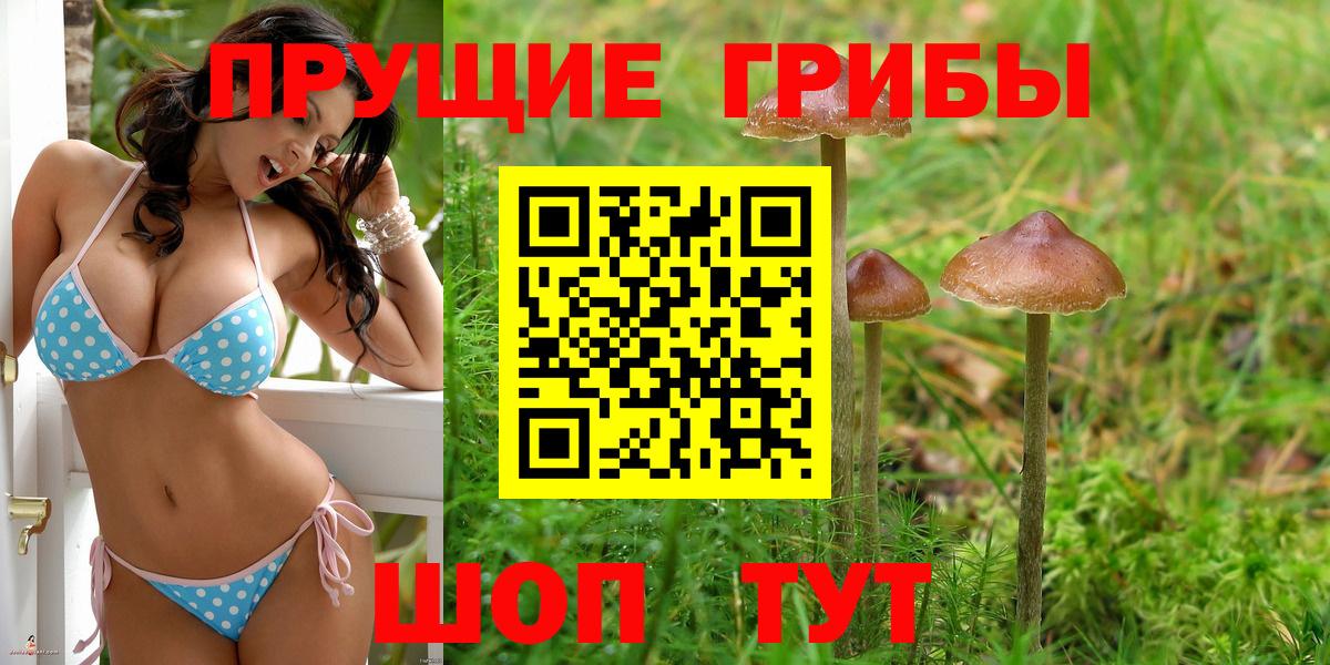 Галлюциногенные грибы Psilocybine cubensis  Вход с VPN  Богданович 