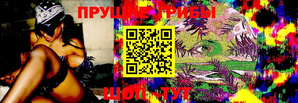 Галлюциногенные грибы Psilocybine cubensis Богданович