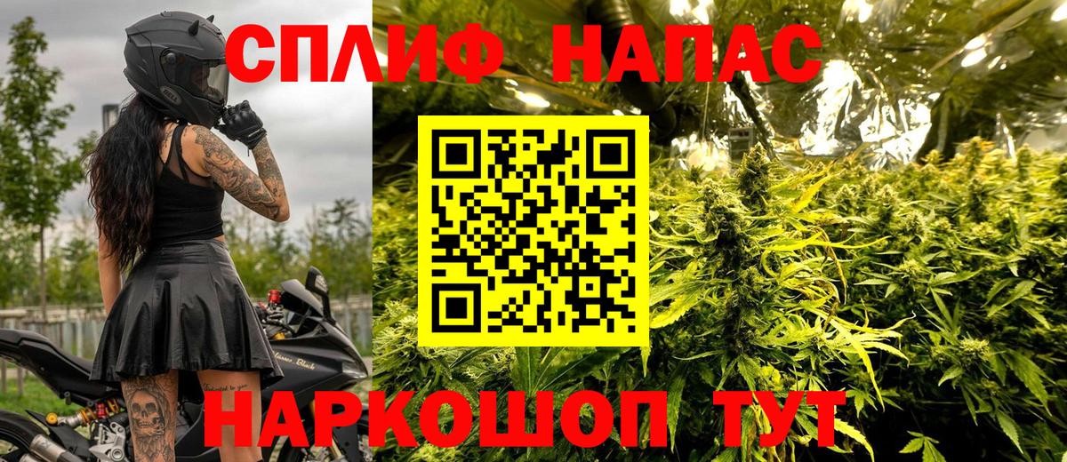 Шишки марихуана Ganja Богданович